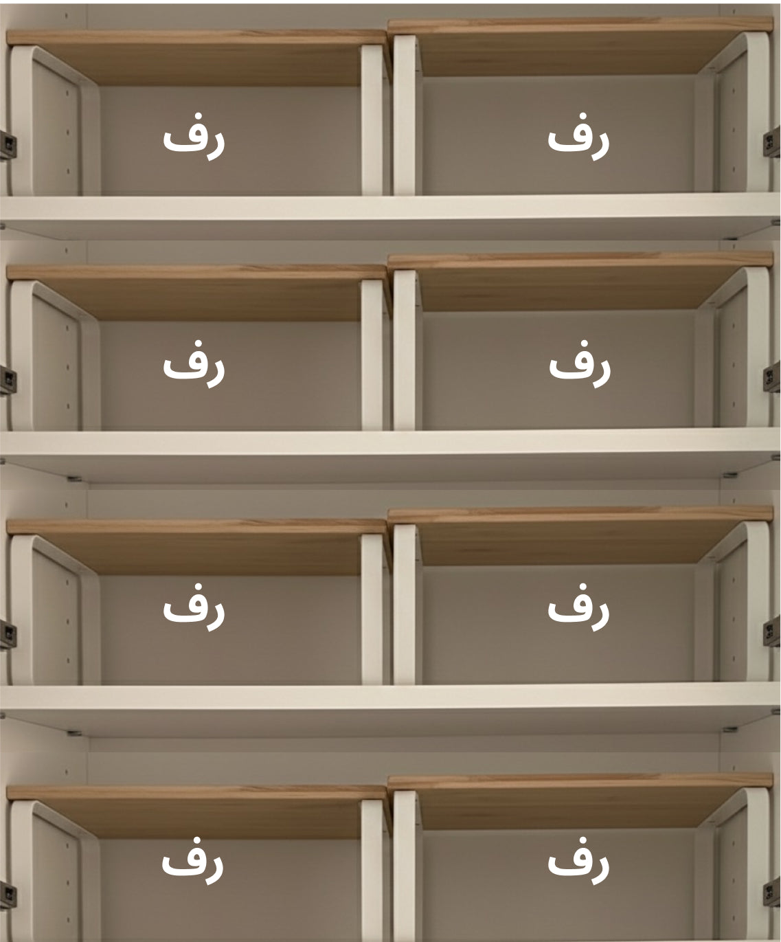 منظمات الأواني